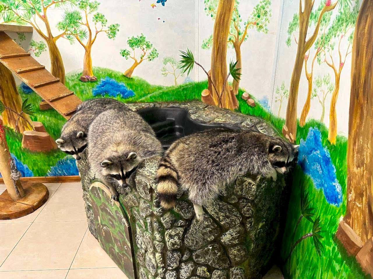 Галерея Дом енотов, превью изображения 10